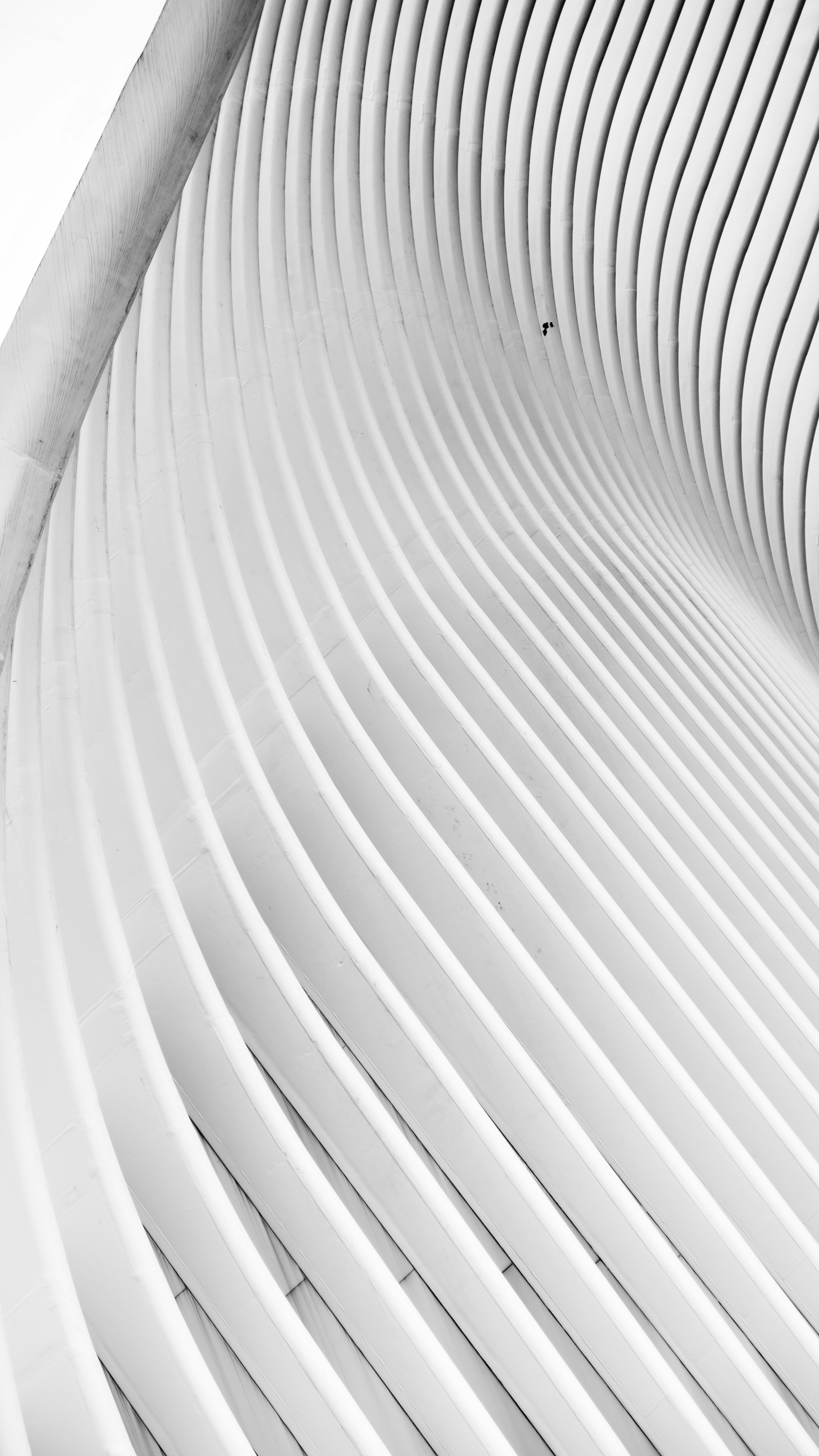 an abstract wave pattern